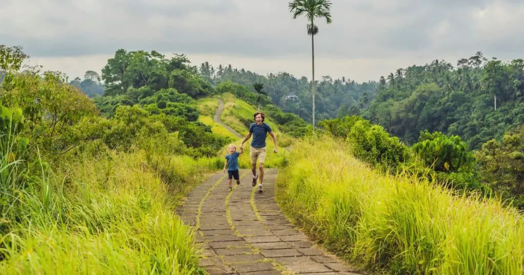 Campuhan Ridge Walk: Best Things to Do in Ubud!